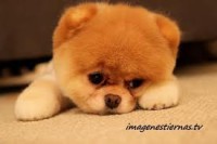 /album/fotogaleria-inicio/images-1-jpg/